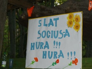 SONY DSC